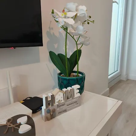 Diva Apartman, Apartman *